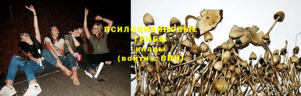 круглые Балахна