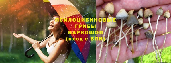 круглые Балахна